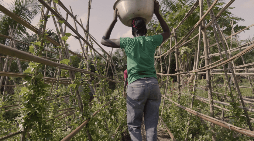 De Dédo à Suru Lere : l’agroécologie comme outil d’apprentissage et d’autonomie pour les femmes